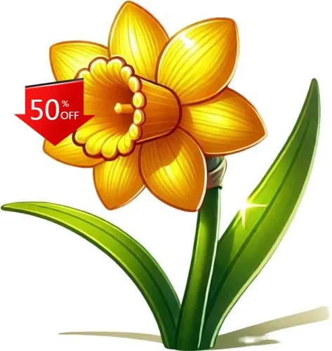 Colour Daffodil Flower Rose Funny Laptop Bumper Camper Van Walls Gift Aesthetic Cool