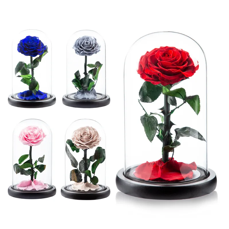 

Preserved Eternal Roses in Glass Luxury Natural Beautiful Rose for Wedding Valentines Day Christmas