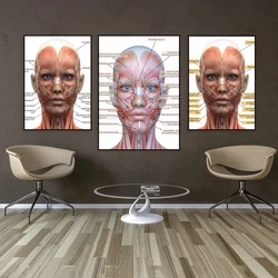 Facial muscles poster, facial anatomy medical spa poster, plastic surgery spa nurse syringe decor, beautician gift wall art