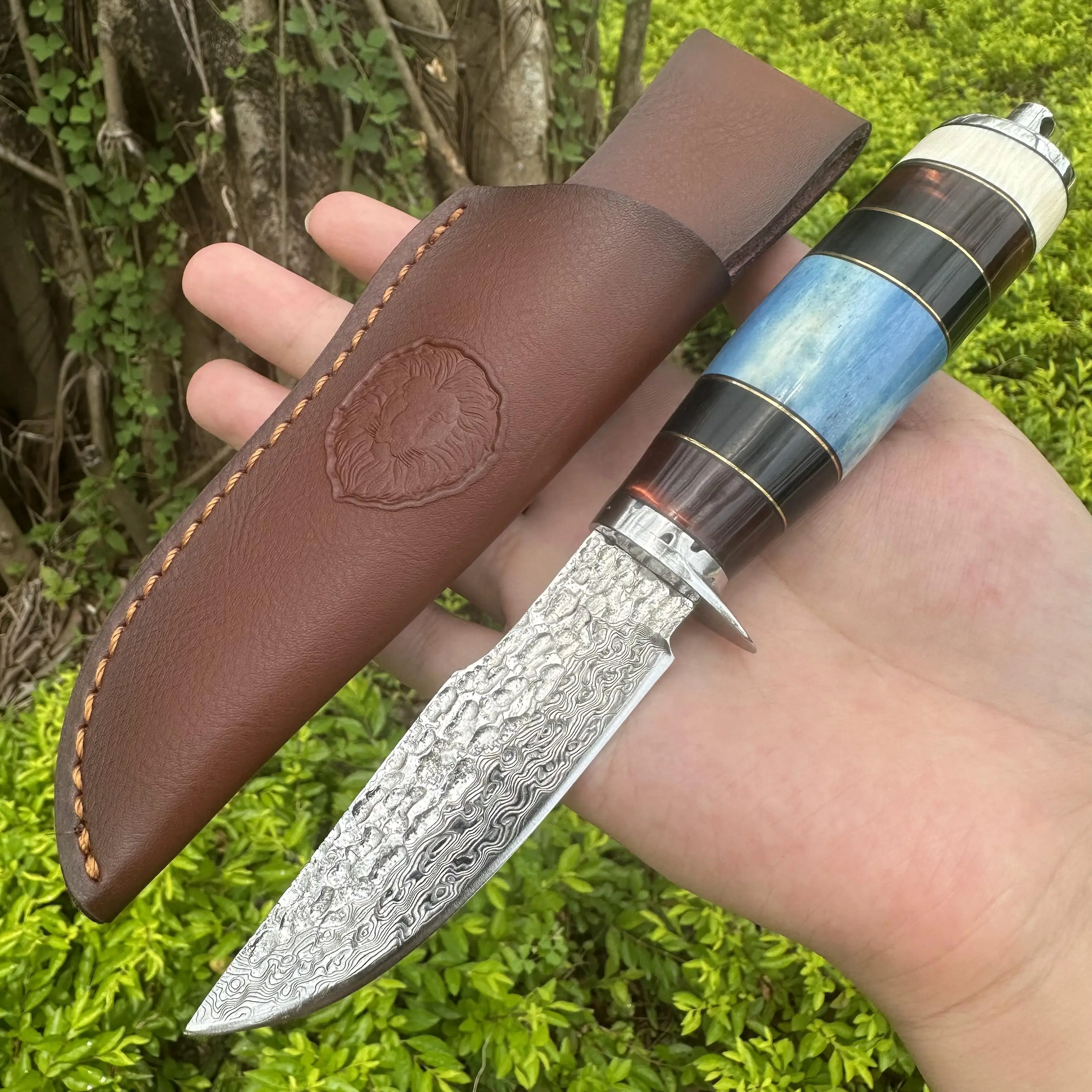 

Topwell Handmade Knife VG10 Damscus Forged Blade Agate&Resin Handle With Real Leather Sheath Hiking Fishing Hunting Collection