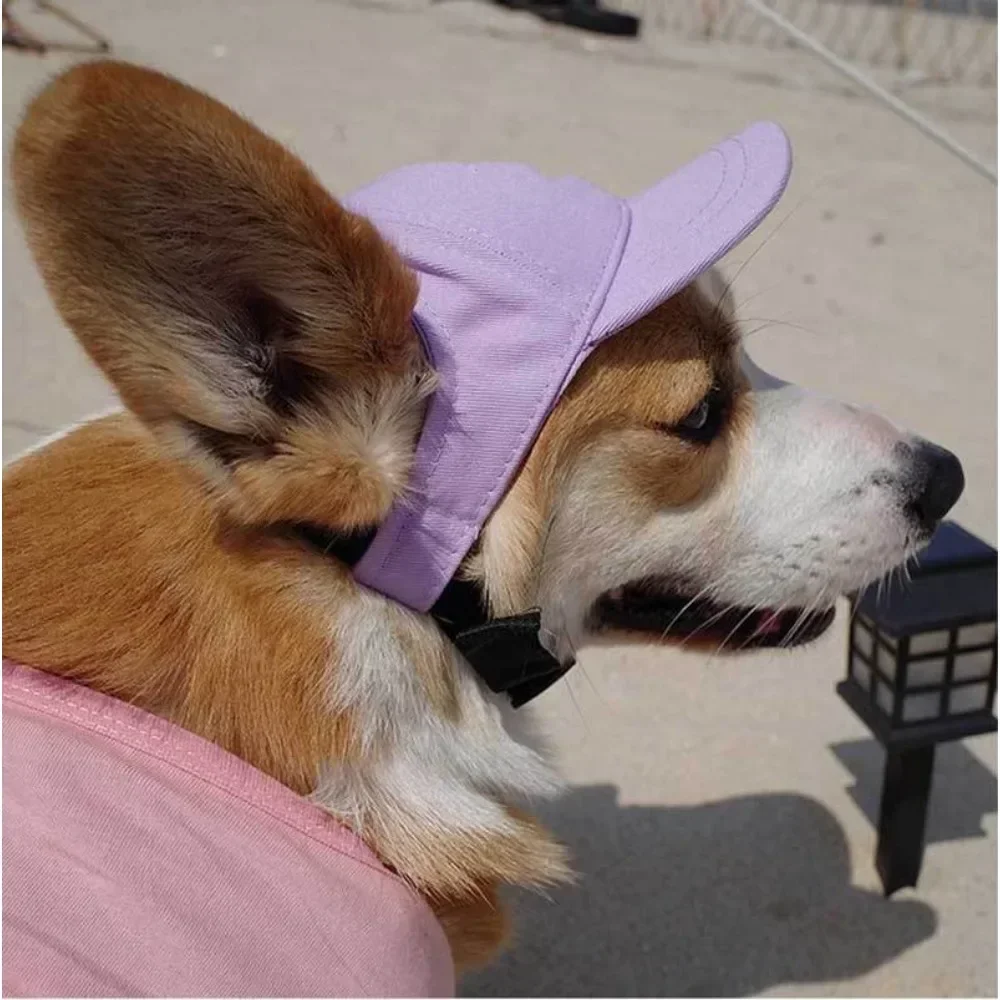 

Korean Style Pet Baseball Cap Pet Couple Hat Adjustable Sun Protection Peaked Teddy Corgi Hat Solid Color Dog Accessories