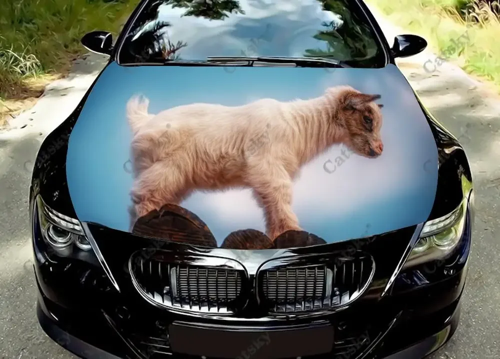 

Animal - Goat Funny Car Hood Vinyl Stickers Wrap Vinyl Film Engine Cover Decals Sticker Universal Car Hood Protective Film