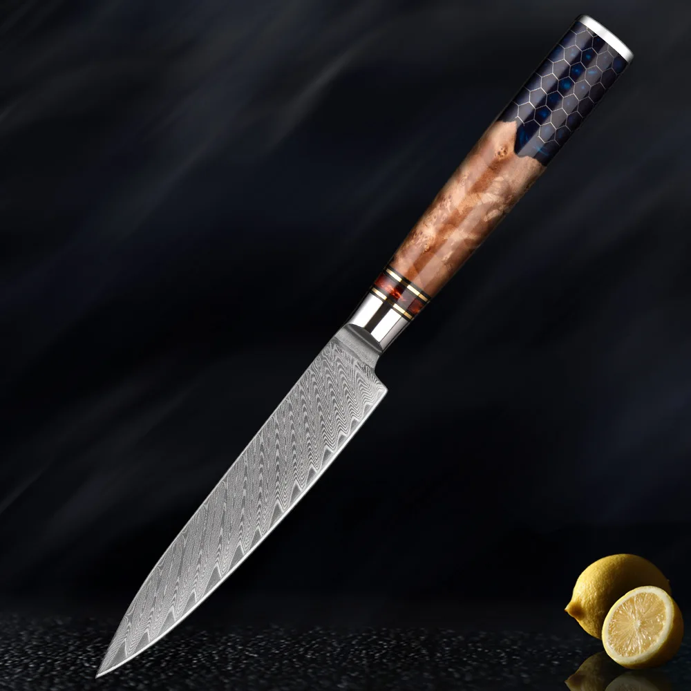 

5 Inch Utility Knife 67-Layers Damascus VG10 Steel Blade Sharp Chef Cleaver Paring Barbecue Kitchen Knives Resin & Wood Handle
