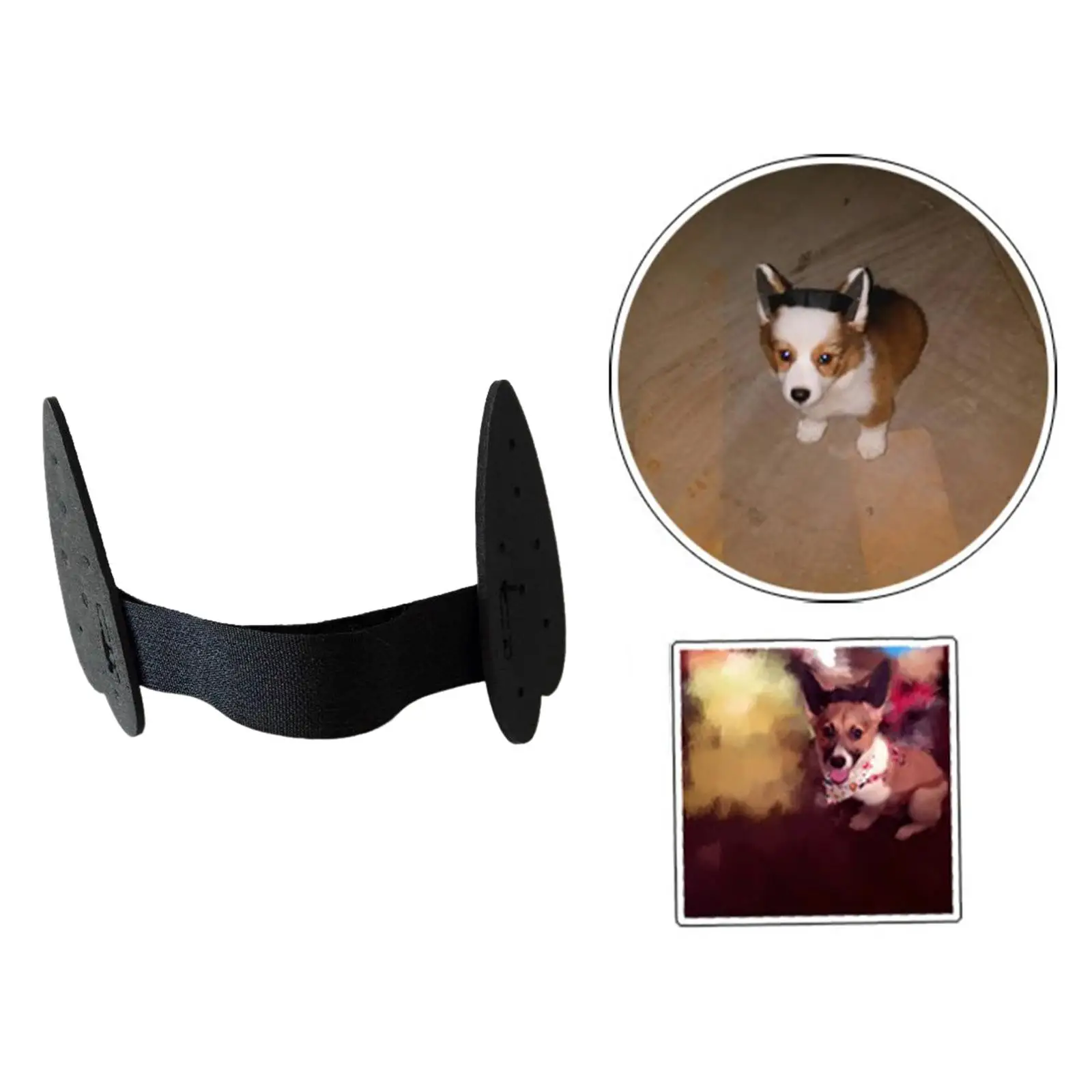 Pet Dog Ear Stand Up Sticker Erect Ear Correction Tools for Large Small Medium Dogs Ear Cleaning