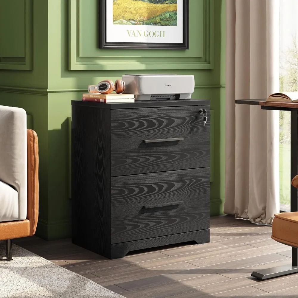 2-Drawer Wood Lateral File Cabinet with Lock for Office Home, Black