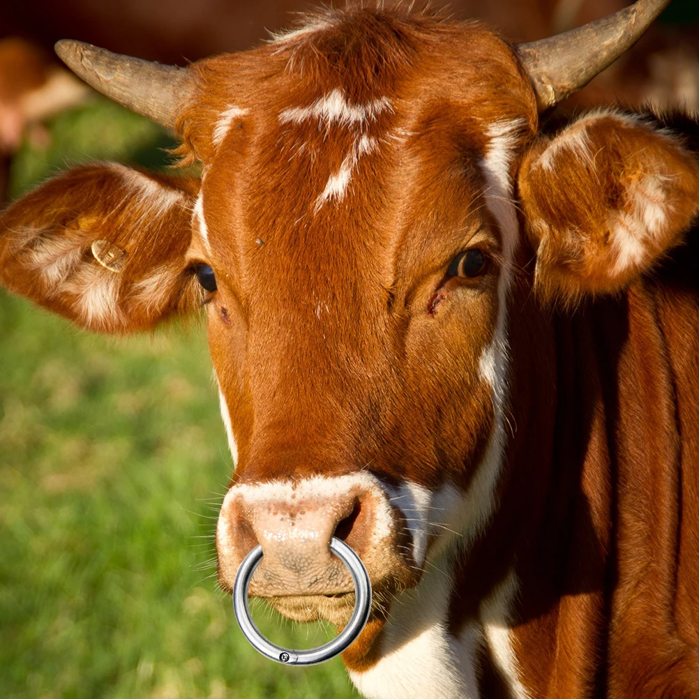 

Stainless Steel Cattle Nose Ring Durable Livestock Supply Safe Bull Traction Tool Thickened Material Easy Farm Management