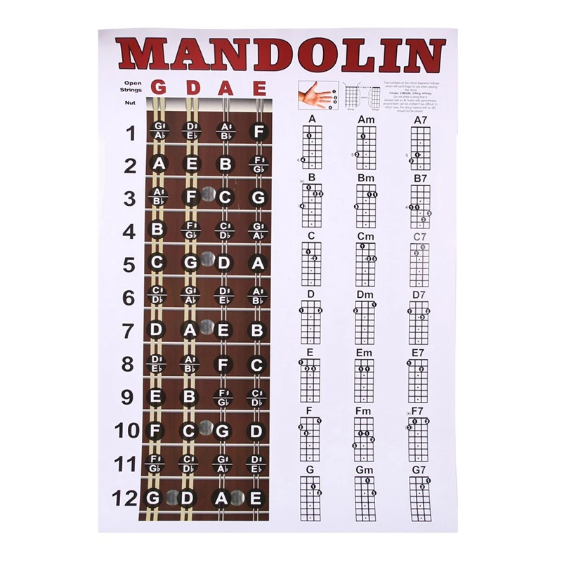 Hot AD-Mandolin Poster Chart Chord Musical Trainning Instrument Guide Chords Fretboard Fingering Chart