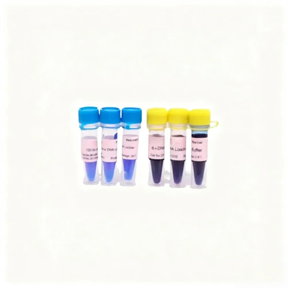 Dna Loading Buffer 6x For Nucleic Acid Gel Electrophoresis And Laboratory Research Applications Original Product