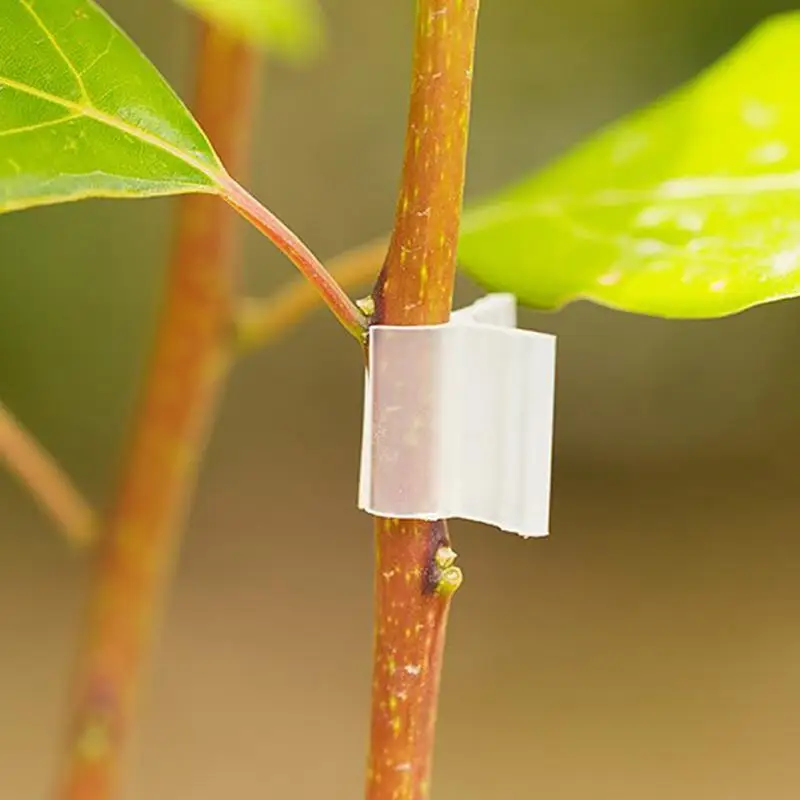 Plastic Grafting Clips Graft Clip Garden Plant Clamp Support Vegetable Eggplant Strawberry Tomato Vine Stems Fix Grow