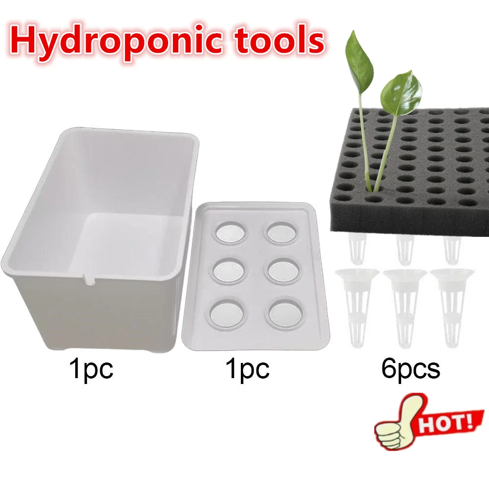 100 pièces/feuille Éponges de culture hydroponique pour semis, outils de plantation sans terre pour légumes, pots et plateaux de