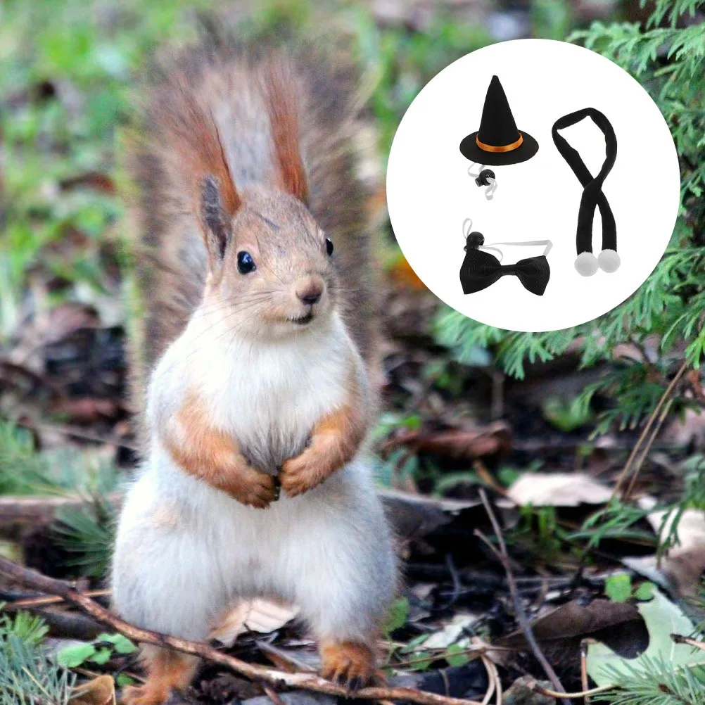 

1 set 1 Set Halloween Hamster Hat Kit Bowtie Scarf Adjustable Witch Hat For Small Pets Party Decor Guinea Pig Accessories Lizard