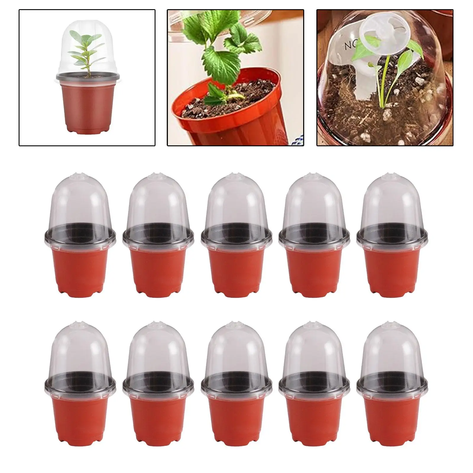 10 Pieces Planting Containers Cups Plant Pot with Drainage Holes with Humidity