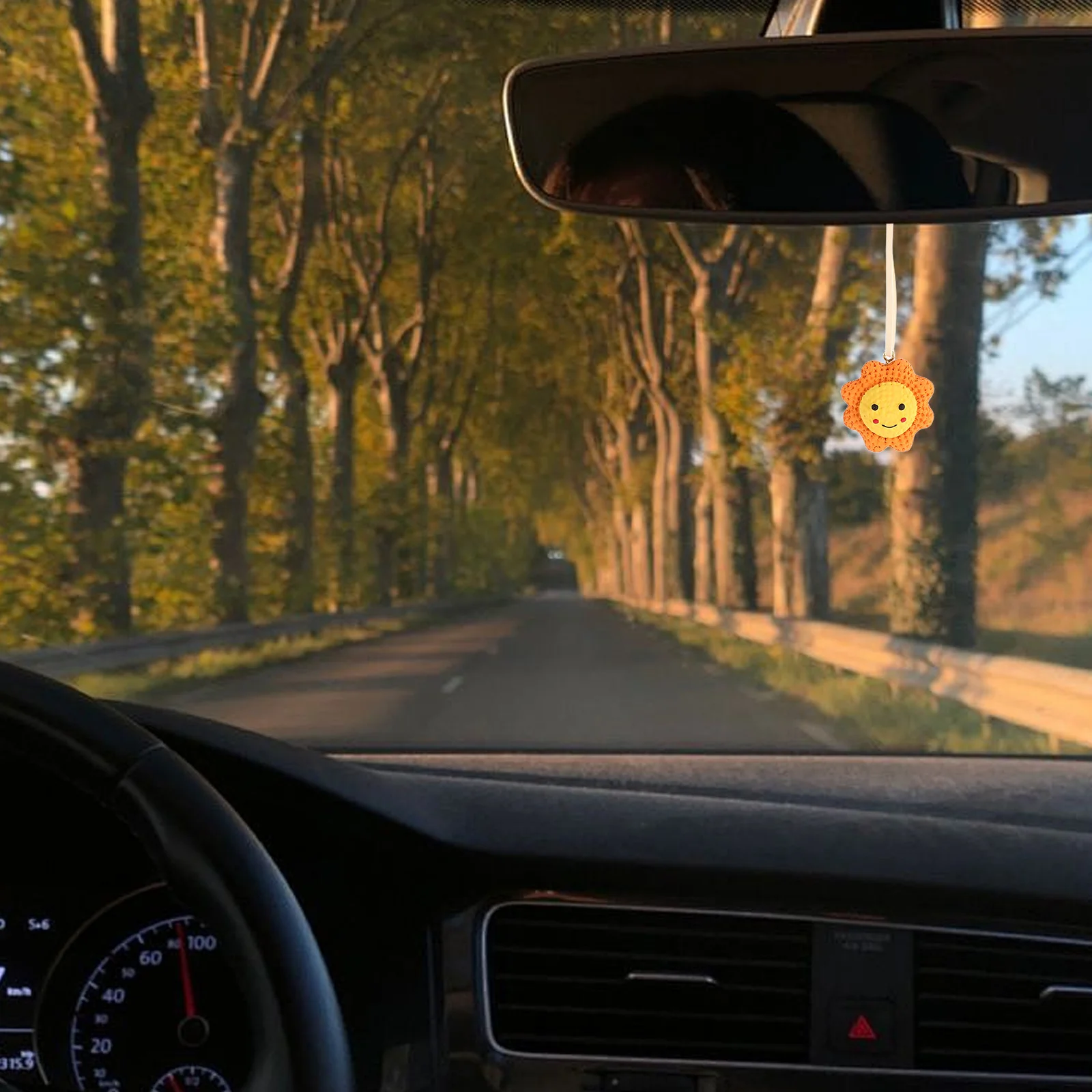 

Resin Car Rearview Mirror Pendant Unique Durable Interior Decoration Hanging Ornament Car Pendant Rear View Mirror Accessories