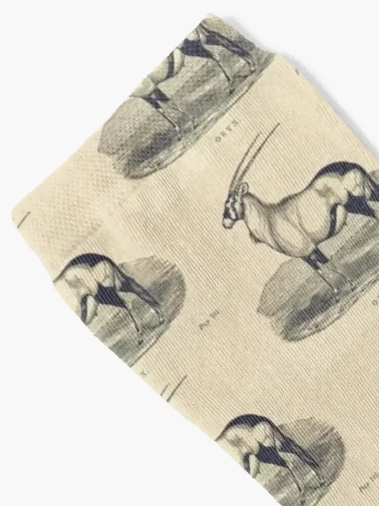 Vintage Oryx Antelope Etching Socks kawaii hockey Antiskid soccer Male Socks Women's