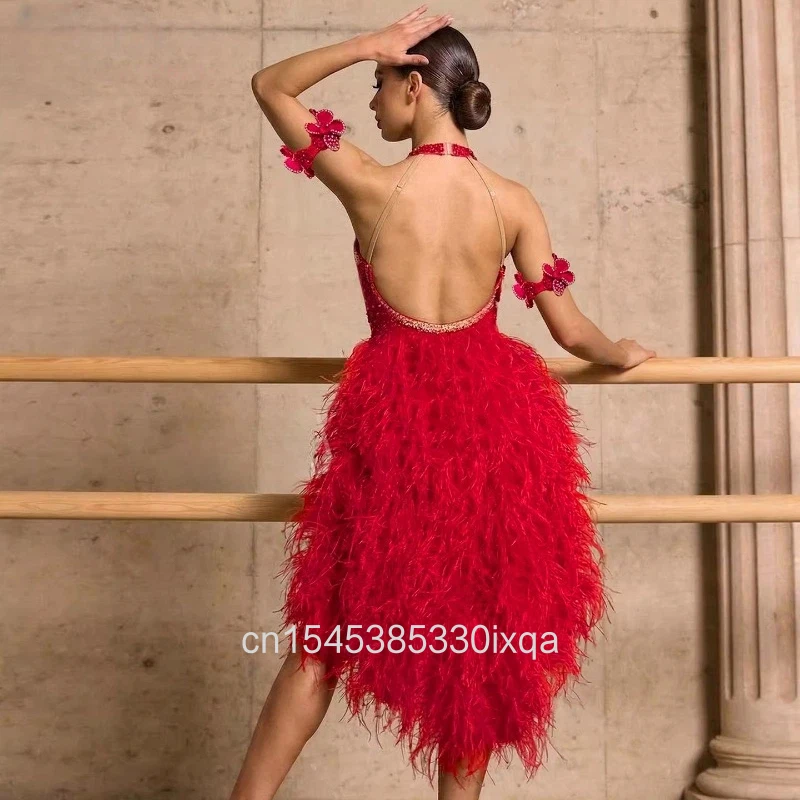 Latin Dance Dresses High-end Customized AB Stones Feather Fringe Dress Adult and Child Cha Cha Professional Performance Costumes