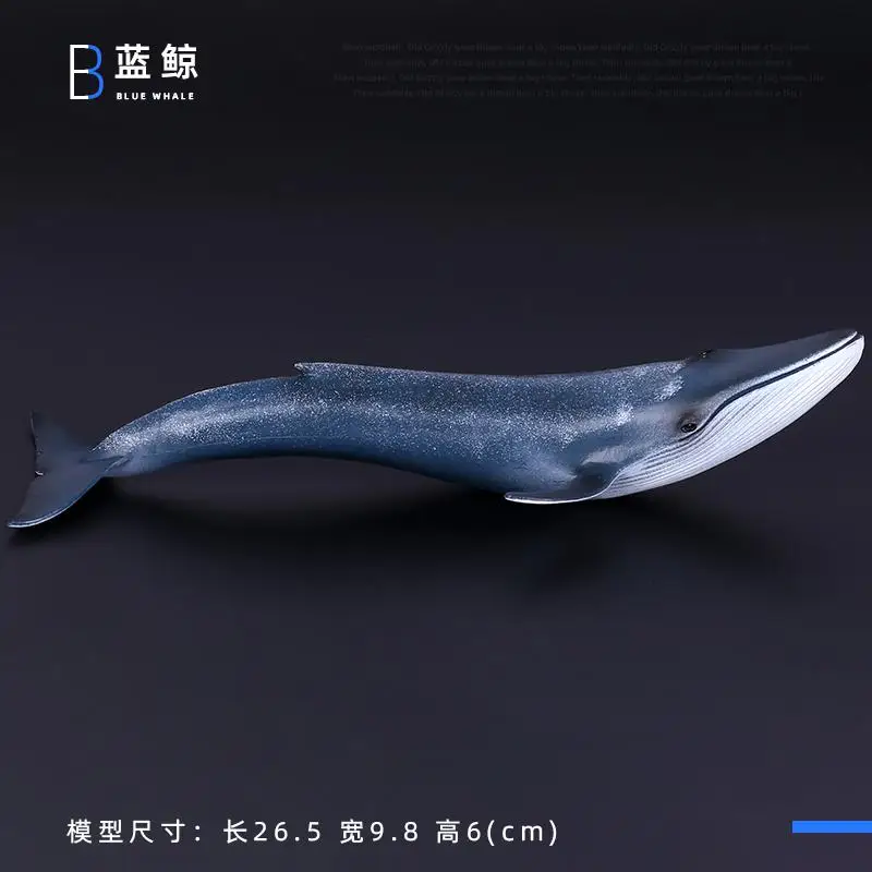 Simulatie Plastic Zeedier Speelgoedfiguren Nautilus, koning Spider Heremietkreeft Zeeleven Dieren Model Collectie Speelgoed