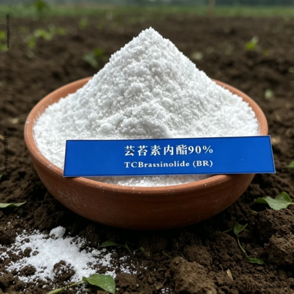 Brassinolide Plant Growth Regulator Foliar Organic Fertilizer