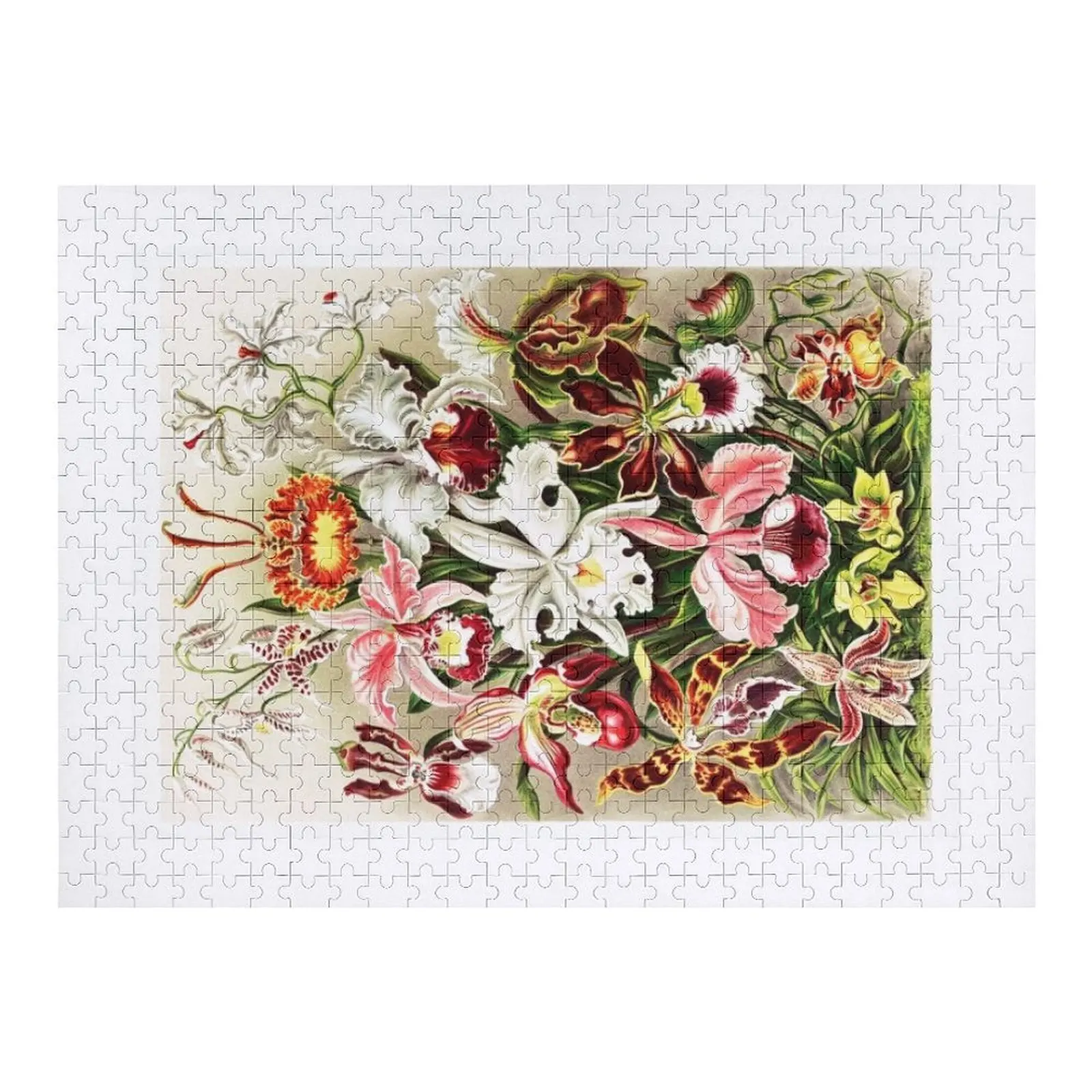 

Винтажный принт орхидей Ernst Haeckel, пазл, диорама, аксессуары, детский пазл на заказ