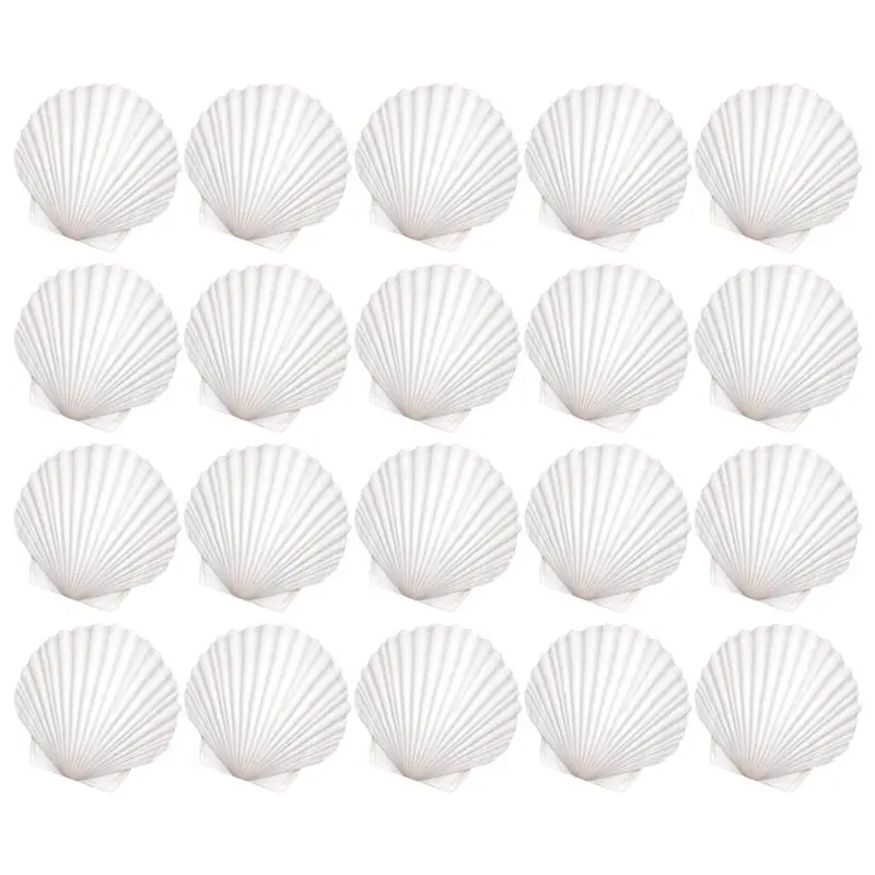 YWDZ-For Crafts 20Pcs Large Scallop Shells, For Baking, Painting, DIY, Decoupage, Beach