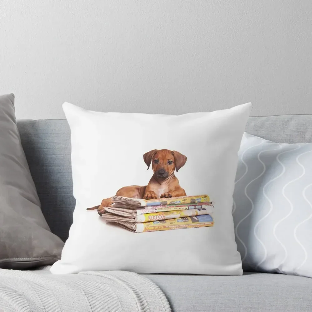 Funny red Ridgeback puppy Throw Pillow Couch Cushions Luxury Pillow Case pillow