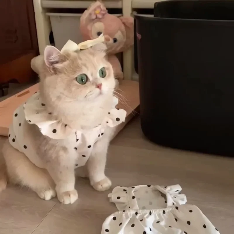 

Cat clothes summer thin, pet spring and autumn dresses