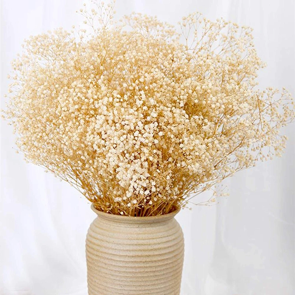 100G Dried Baby Breath Flowers Bouquets Beige Gypsophile Natural Dry Flower Gypsophila Wedding Decoration Nordic Home Decor