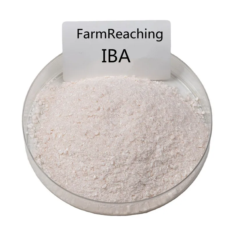 FarmReaching Высококачественная индолил-3-масляная кислота (ИБА)