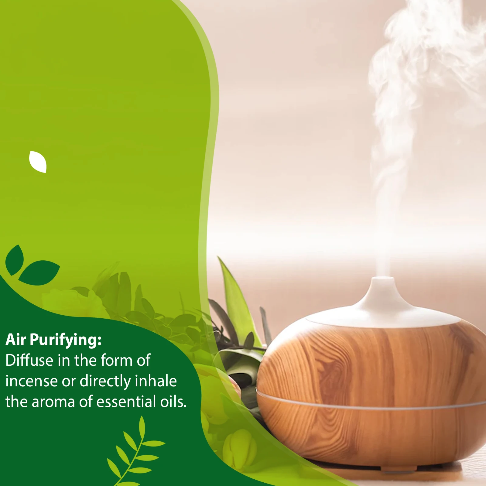PHATOIL 1000ml 천연 아로마 테라피 에센셜 - Home Fragrance Eucalyptus 리뷰 및 가격
