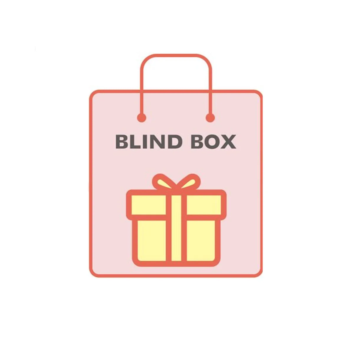 

Blink Box for VIP Customer
