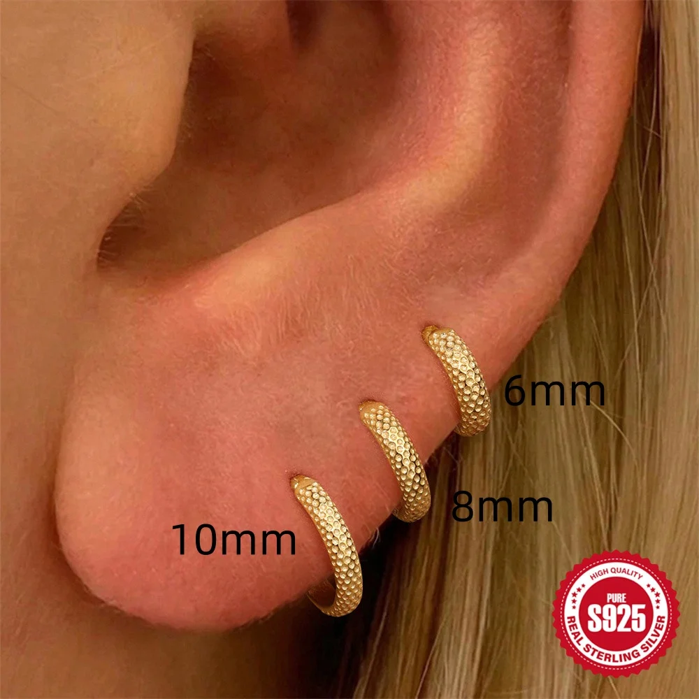 CANNER 925 Sterling Silver Luxury Multi 6mm/8mm/10mm Smooth/Zircon Circle Hoop Earrings Classic Versatile Party Earrings Jewelry