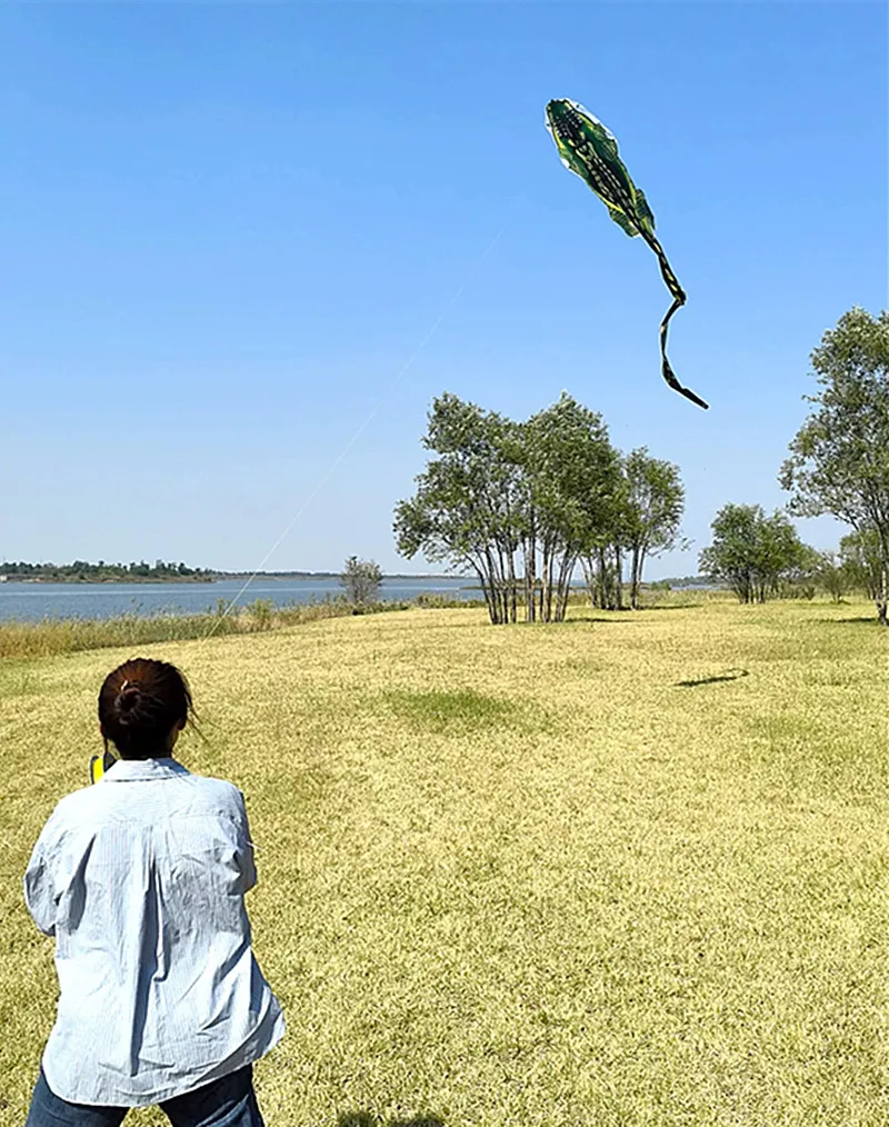 free shipping 12m crocodile kite flying kites for adults outdoor toys inflatable games air bounce cerf volant enfants windsurf