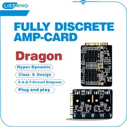 LIEEWHO Hi-End Fully Discrete For HIFIMAN HM901R U S 802 650 Dedicated AMP.Card