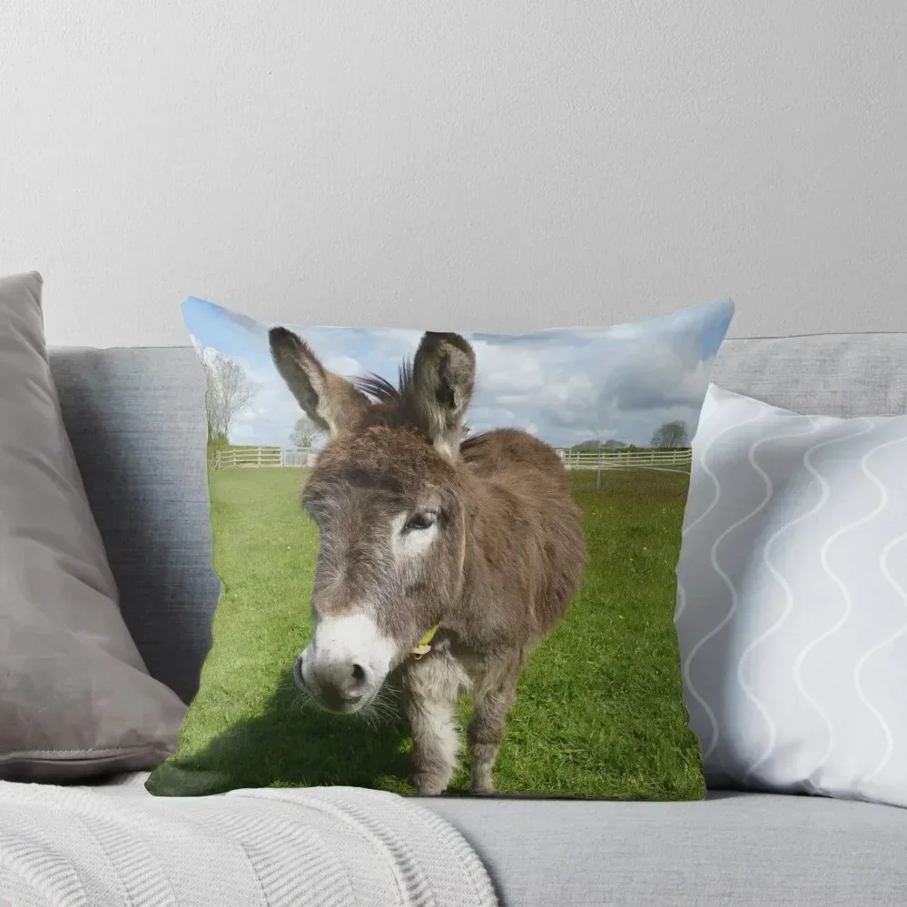 

Happy Donkey Throw Pillow luxury decor pillow pillowcase anime girl Sofa Covers For Living Room pillow