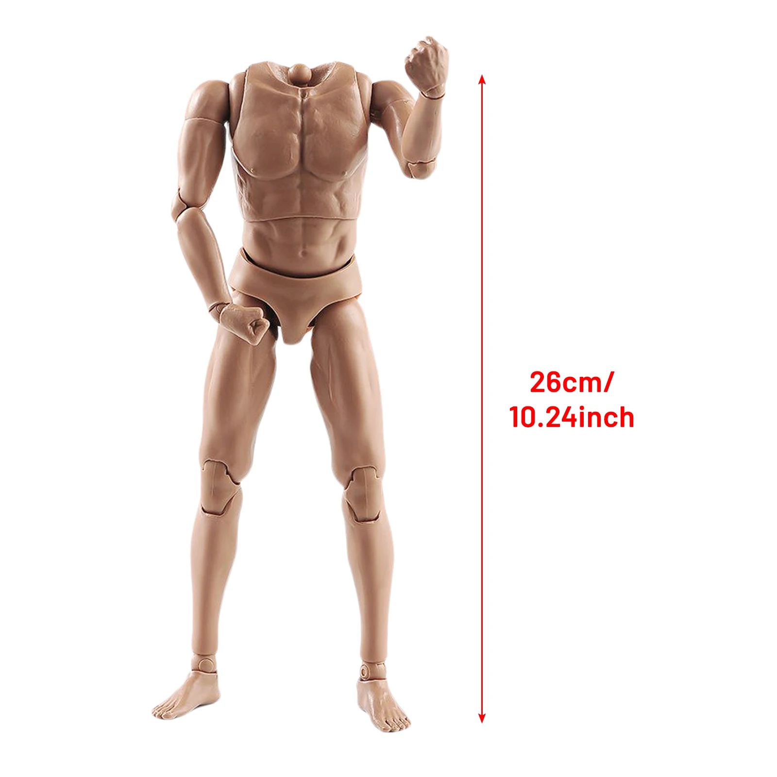 1/6 Realistic Male Body With 28 Movement Joints Muscular Model Seamless Narrow Shoulders with Neck Action Jointed-Figure For DIY