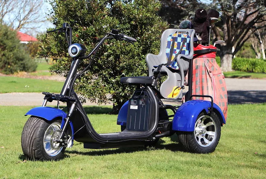 ZAIQU  australia market Customizable OEM Wheel Drive Golf Cart with 2 Seats for DIY Golfers-Includes Assembly Tools