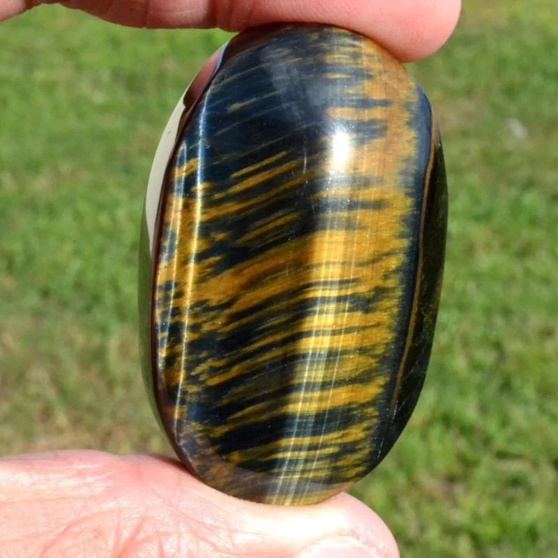 Natural Blue Yellow Tigers Eye Palm Stone Polished for Home Decoration and Christmas Gifts