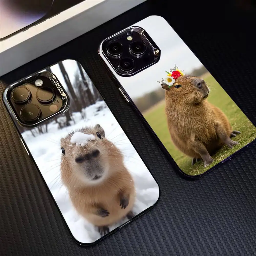 

Capibara Phone Case For iPhone 16 17 15 14 12 13 Pro Max Black Color Shockproof Cover