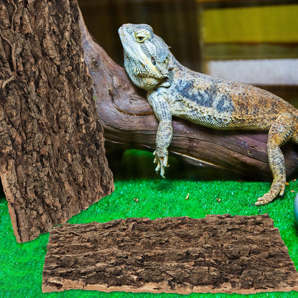 

4Pcs Reptile Terrarium Bark Landscape Tree Bark Durable Reusable Background Decoration for Tank Fish Tank Background