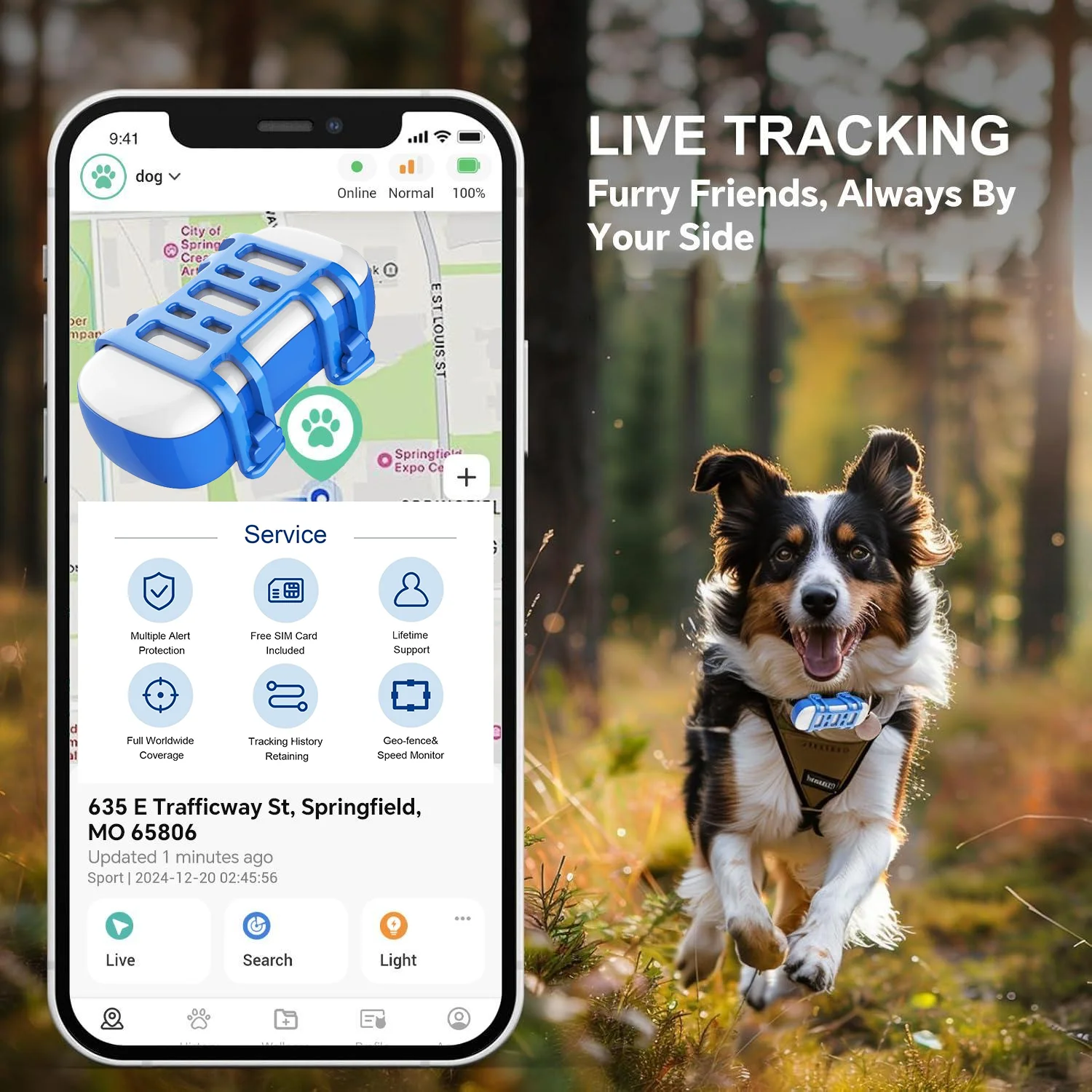 How to Choose the Best eSIM Tracker for Your Pet: A Detailed Review and Guide