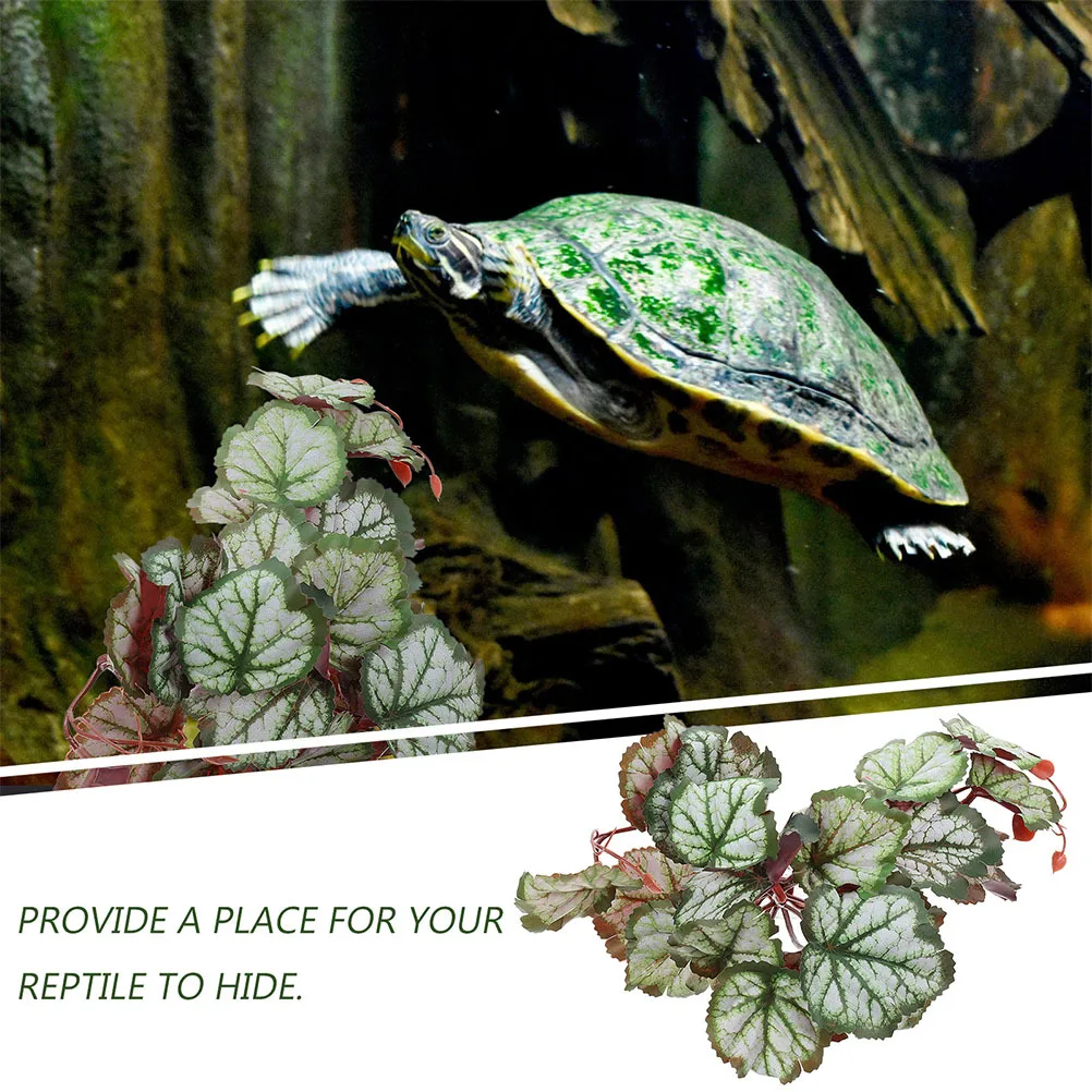 

Alasum Reptile Terrarium Plants Climbing Decor for Habitat Greenery Live Aquarium Foliage