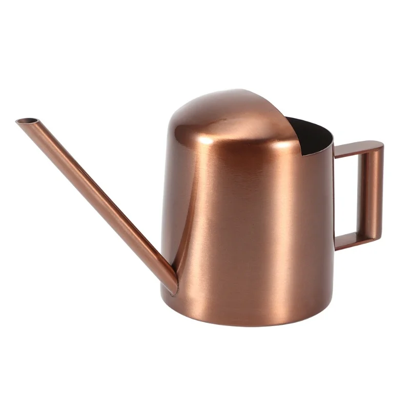 300ml Small Stainless Steel Watering Can Plant Flower Long Spout Sprinkling Pot For Home Use