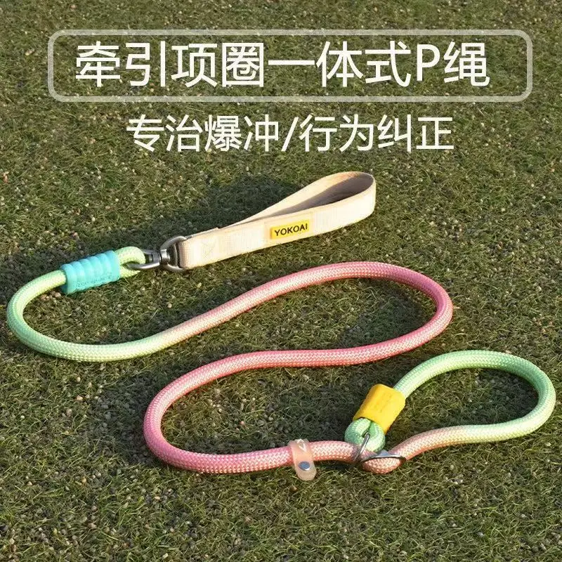 New Hot Selling Dog Slip Lead Anti-Tangle Pet Leash Anti-Pulling Dog Rope Chain for Medium Large Dogs