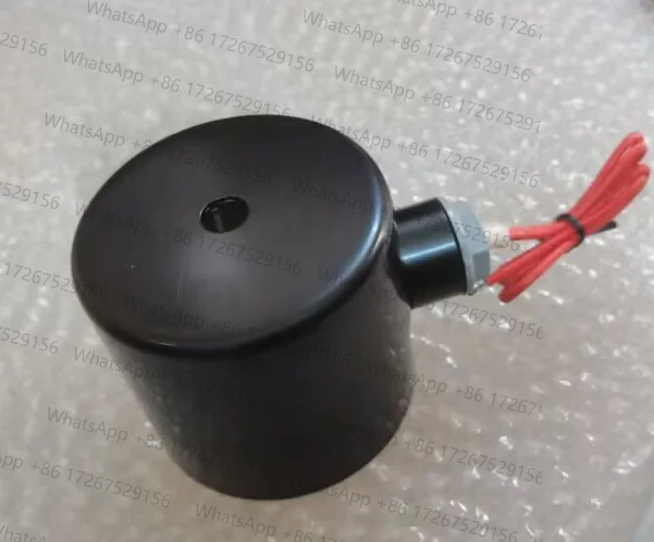 2 واط-250-25 1 بوصة صمام الملف اللولبي استنزاف صمام 2 واط-320-32 الأسلاك النحاسية حلقة المطاط حلقة الحجاب الحاجز 220 فولت 24 فولت #5