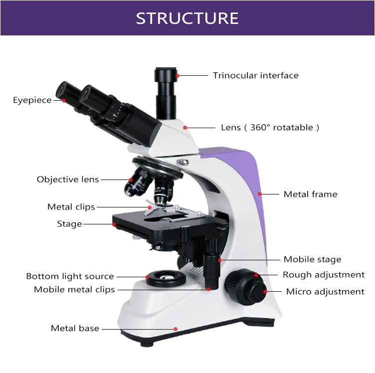 ZOOM 40 - 2500X Professional Biological Lab High-Quality BM-500T Biological Digital Microscope Slide for Semen Observation