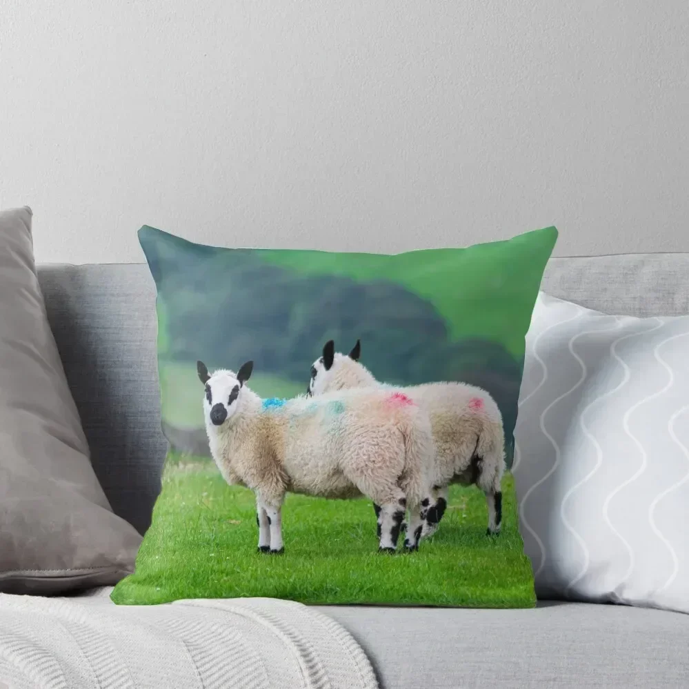 Two Kerry Hill Sheep Throw Pillow Christmas Covers bed pillows Christmas Throw Pillows Covers pillow