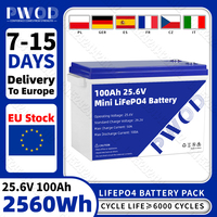 New 24V 100Ah Lifepo4 battery Pack Mini 25.6V lithium iron phosphate rechargeable batteries For RV EV Solar Yacht Camping
