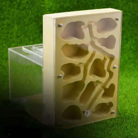 대형 Shiwang 개미 집 번식 둥지, 석고 보습 및 수유 둥지