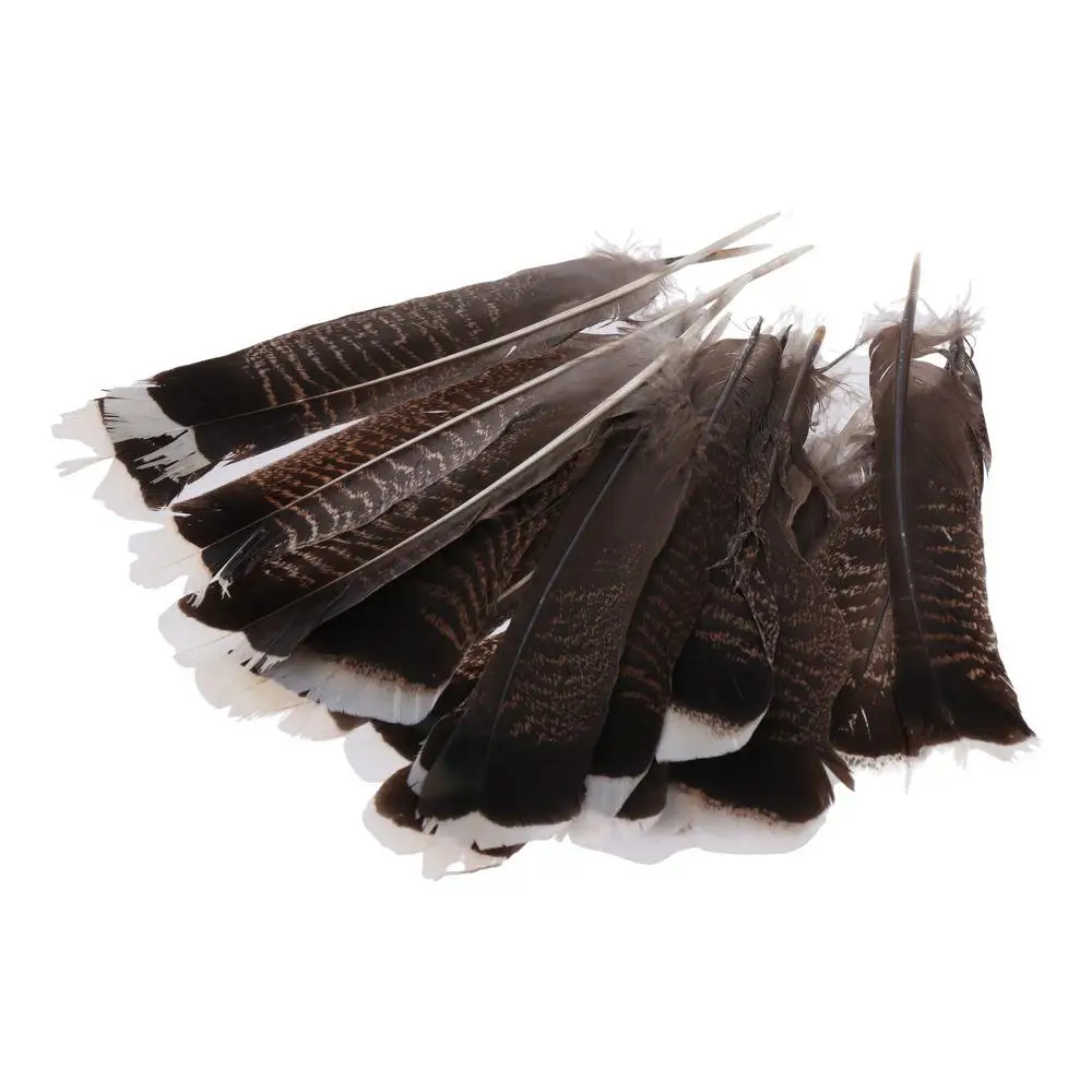 Clothing Decoration Natural Wild Turkey Tails Feathers Feathers 8-10inch Natural Quill Feathers Black DIY Crafts