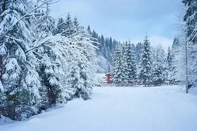 

Ручка-корректор для ремонта лакокрасочного покрытия Mercedes-Benz GLC 2015-2025 X253 C253 X254 C254, средство для удаления царапин, аксессуары для авто, черный, белый