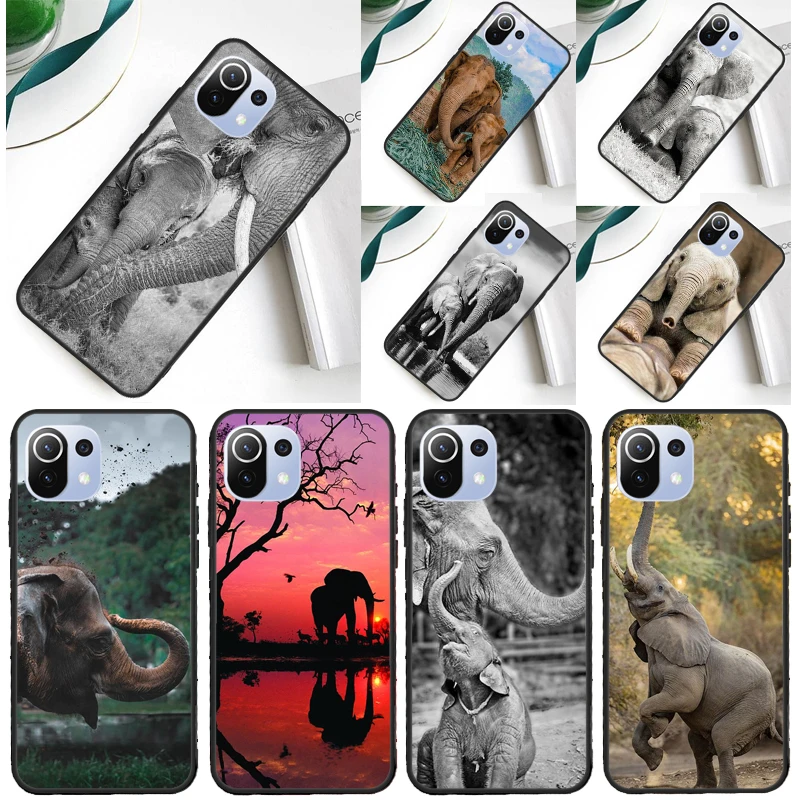 Elephant Animal Cov…